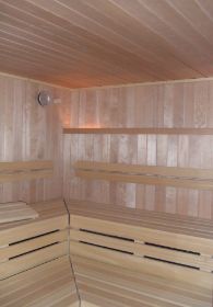 Internet-Sauna a.jpg